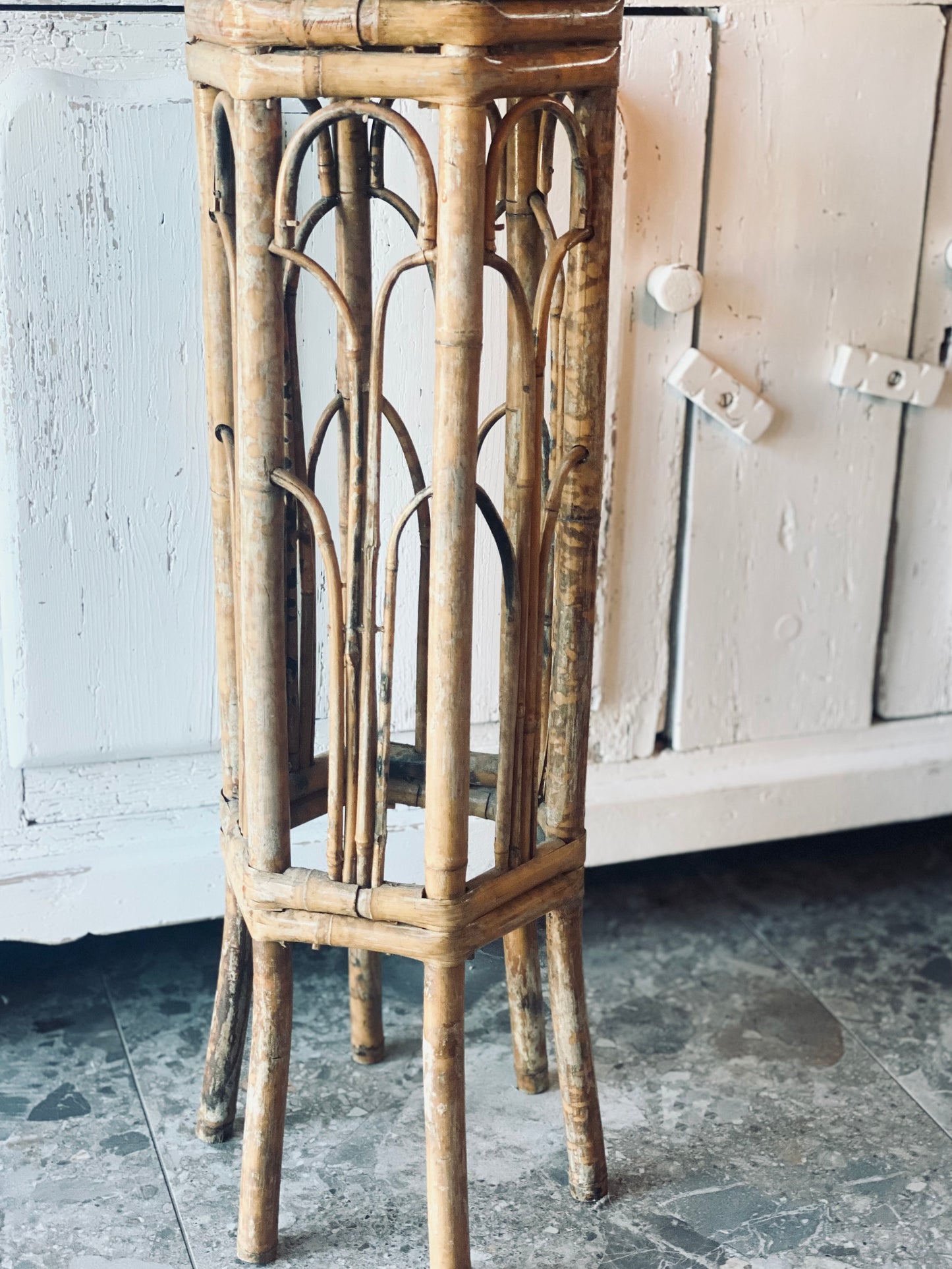 New! Bamboo Cane Plant Stand