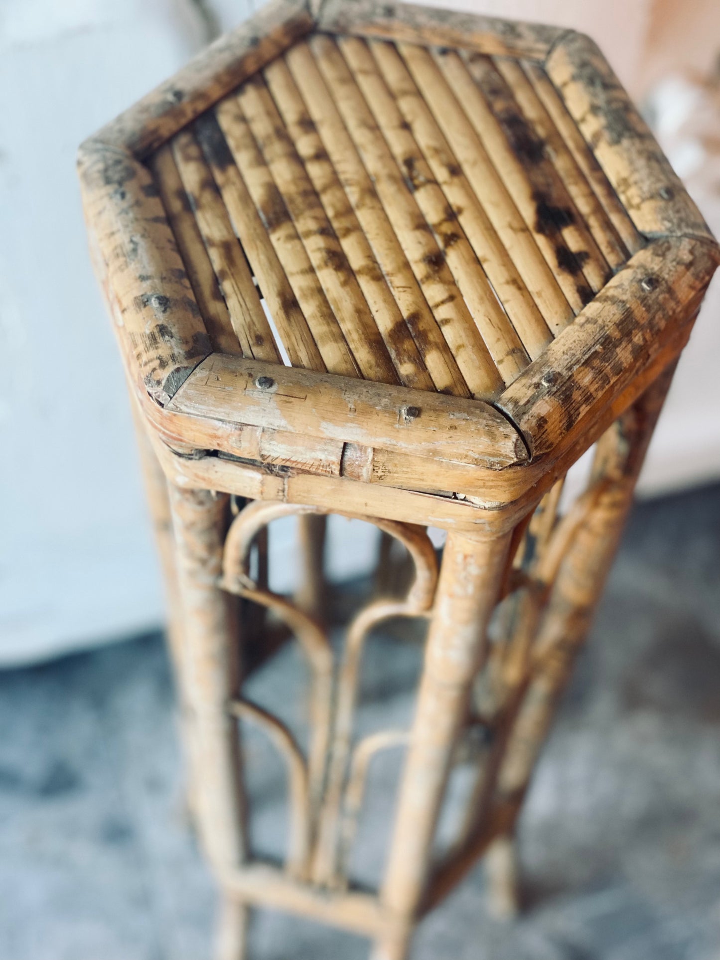 New! Bamboo Cane Plant Stand