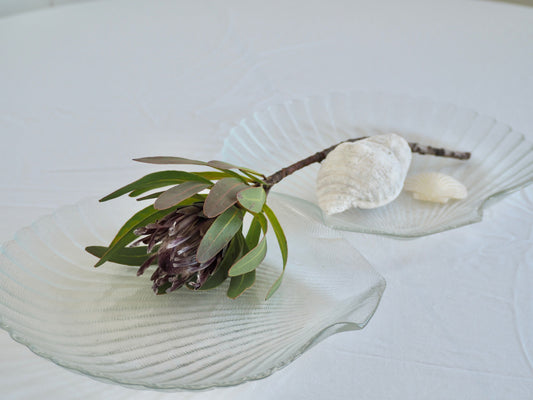 Clam Shell Plates, Set 2